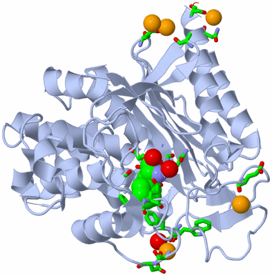 Image Biol. Unit 1 - sites