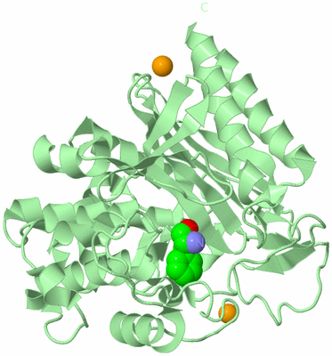Image Biological Unit 2