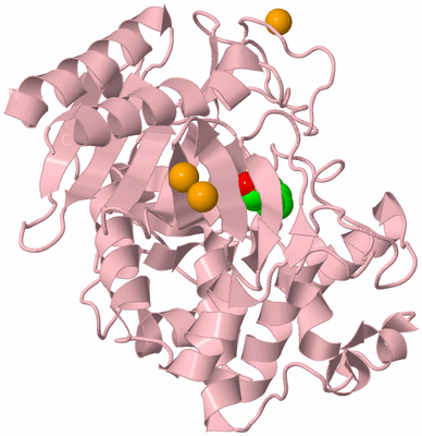 Image Biological Unit 3