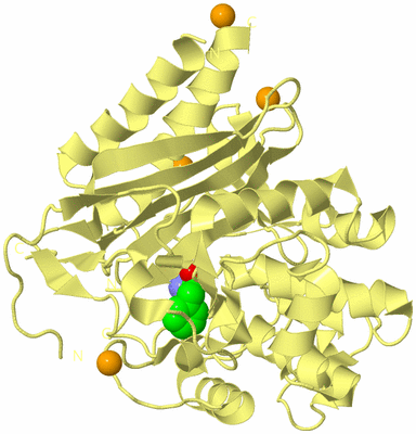 Image Biological Unit 4