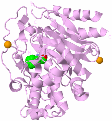 Image Biological Unit 5
