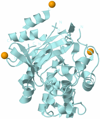 Image Biological Unit 6