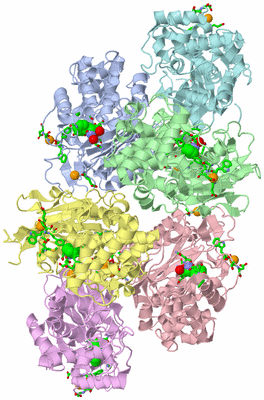 Image Asym. Unit - sites