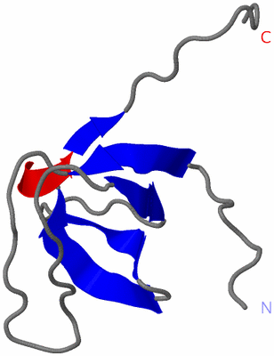 Image NMR Structure - model 1