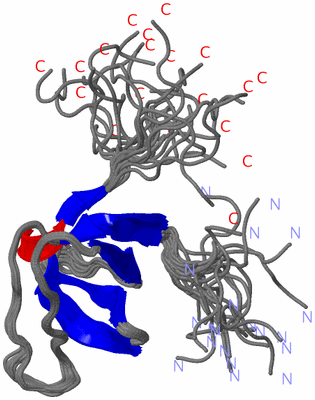 Image NMR Structure - all models