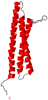 Image NMR Structure - model 1