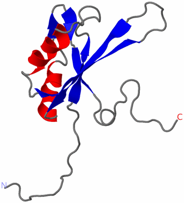 Image NMR Structure - model 1