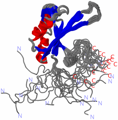 Image NMR Structure - all models