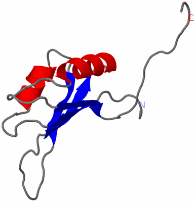 Image NMR Structure - model 1