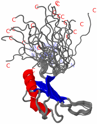 Image NMR Structure - all models