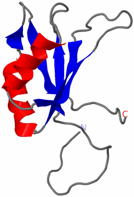 Image NMR Structure - model 1