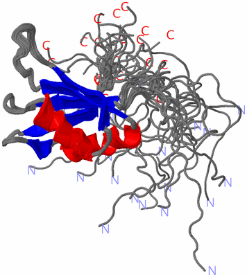 Image NMR Structure - all models