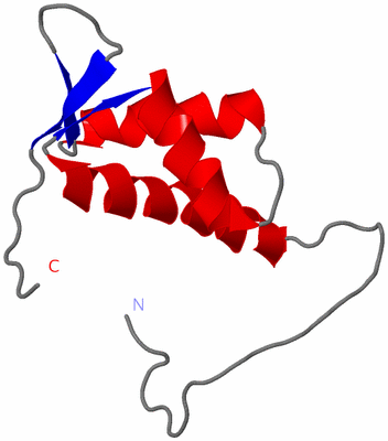 Image NMR Structure - model 1