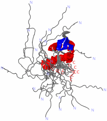 Image NMR Structure - all models