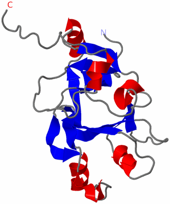 Image NMR Structure - model 1