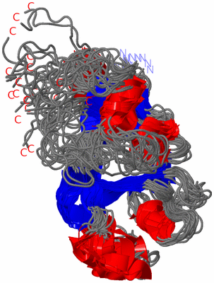 Image NMR Structure - all models