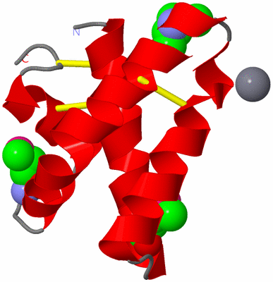 Image Asymmetric Unit