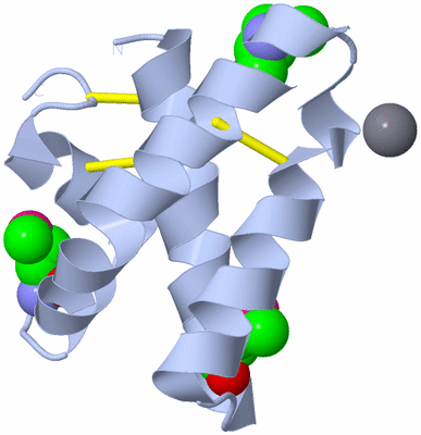 Image Biological Unit 1