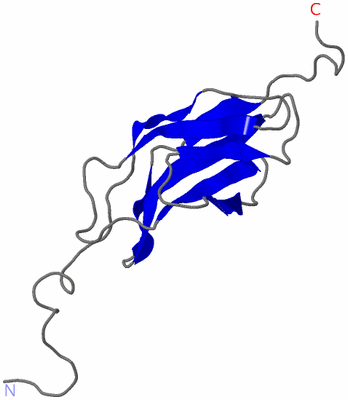 Image NMR Structure - model 1