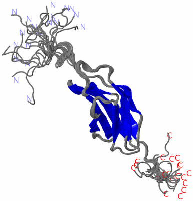 Image NMR Structure - all models