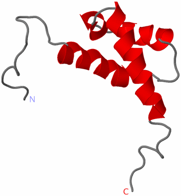 Image NMR Structure - model 1