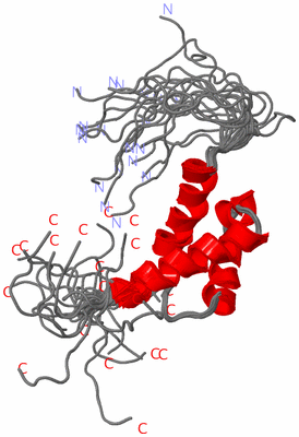 Image NMR Structure - all models