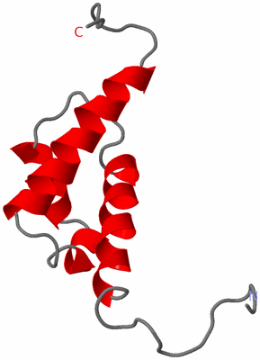 Image NMR Structure - model 1