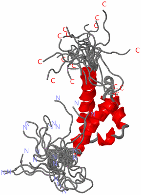 Image NMR Structure - all models