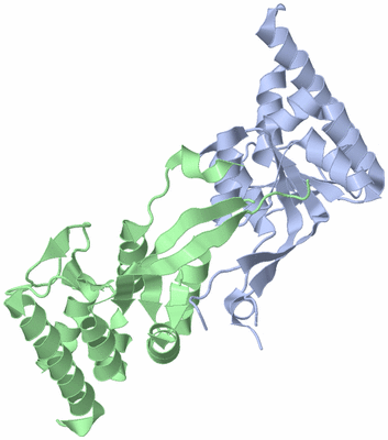 Image Biological Unit 3