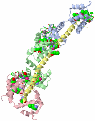 Image Asym./Biol. Unit - sites