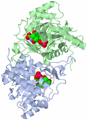 Image Asym./Biol. Unit