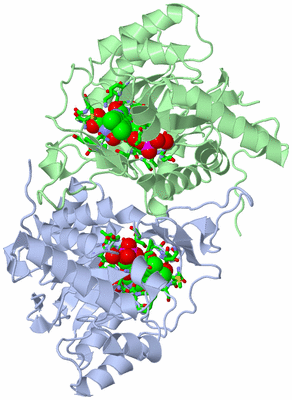 Image Asym./Biol. Unit - sites