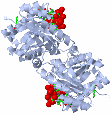 Image Biol. Unit 1 - sites