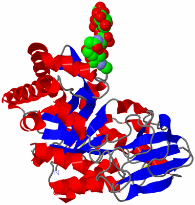 Image Asym./Biol. Unit