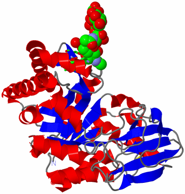 Image Asym./Biol. Unit - sites