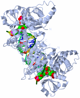 Image Biological Unit 1