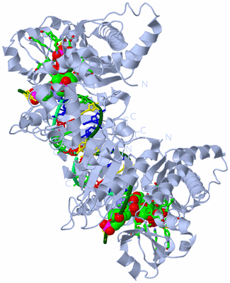 Image Biol. Unit 1 - sites