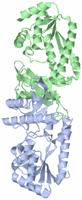 Image Asym./Biol. Unit