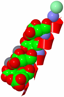 Image Asymmetric Unit