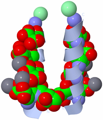 Image Biological Unit 1