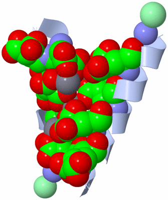 Image Biological Unit 2