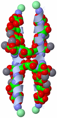 Image Biological Unit 3