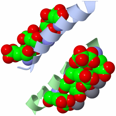 Image Asymmetric Unit