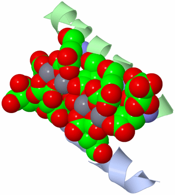 Image Biological Unit 2