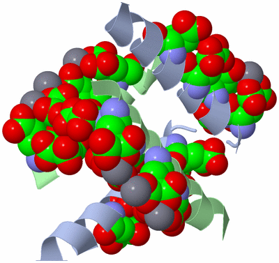 Image Biological Unit 3