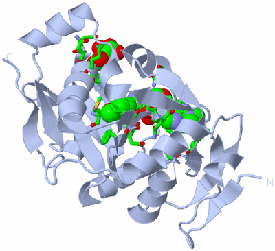 Image Biol. Unit 1 - sites