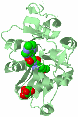 Image Biological Unit 2