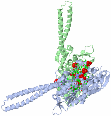 Image Asym./Biol. Unit - sites