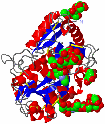 Image Asym./Biol. Unit