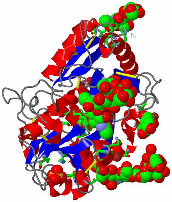 Image Asym./Biol. Unit - sites